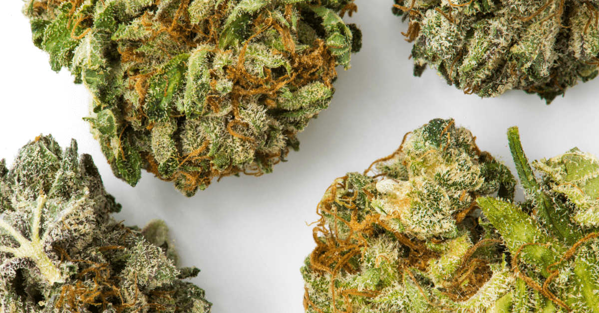 Types of Cannabis Strains
