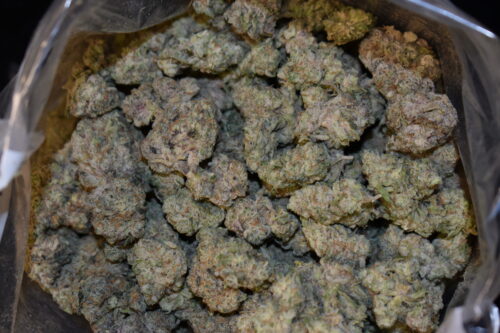 Purple Milk strain, Purple Milk weed strain, Purple Milk marijuana strain, Purple Milk Buds
