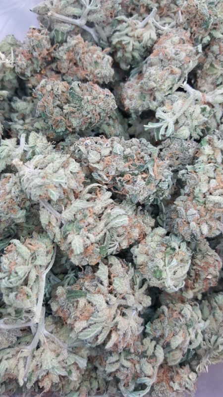 Where To Buy Bulk Weed In Canada and How To Get The Best Deal