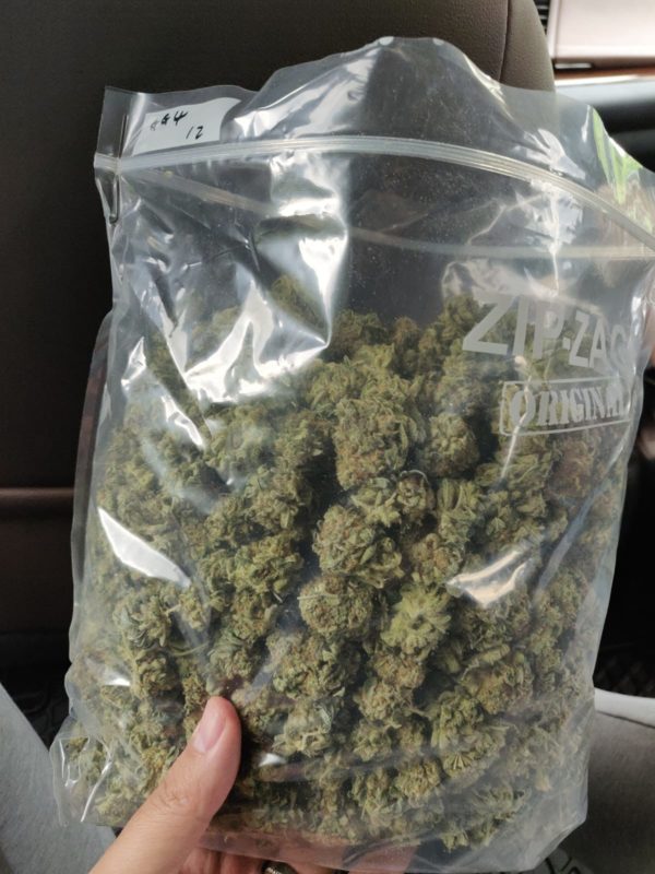 a pound of weed
