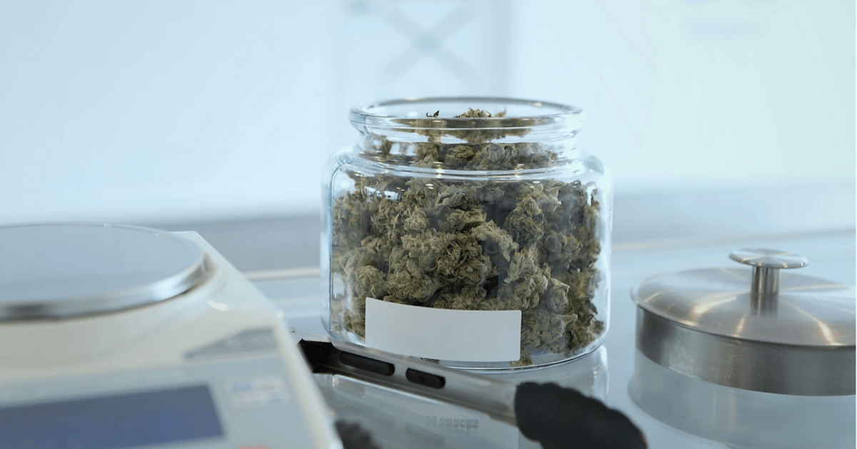 How Much Does an Oz of Weed Cost in Canada?