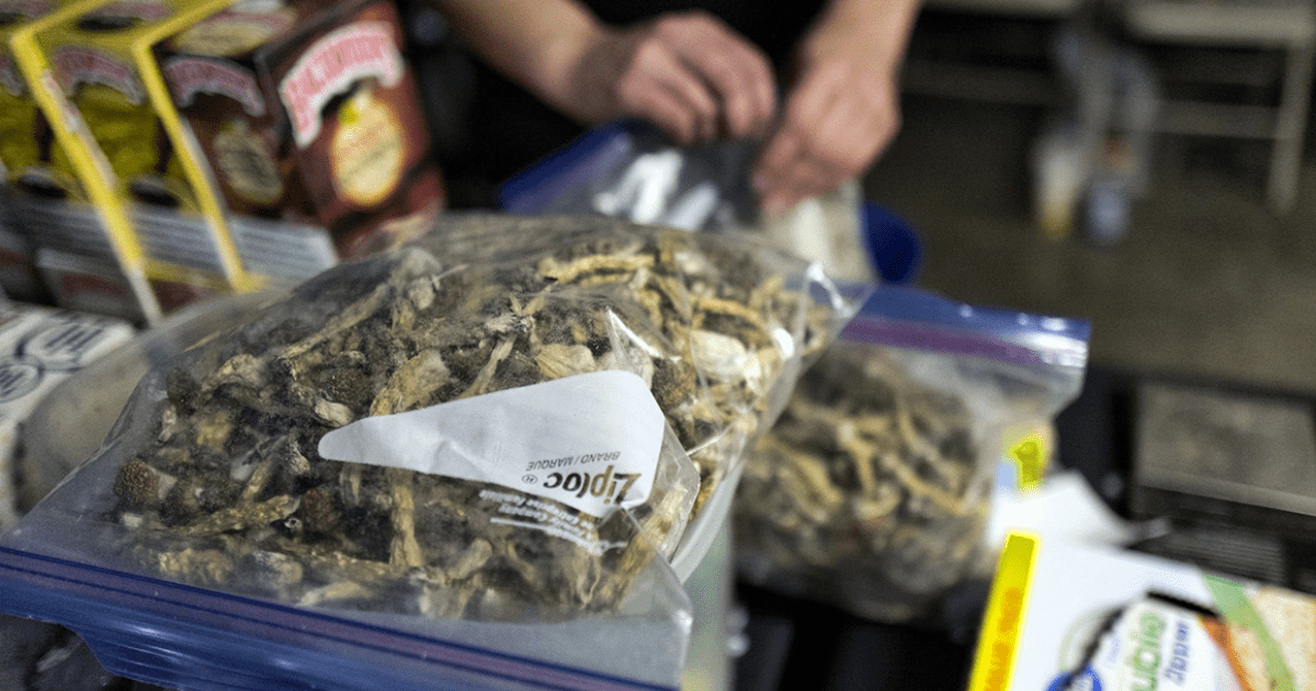 A Guide to Buying Shrooms Online in Toronto, Ontario