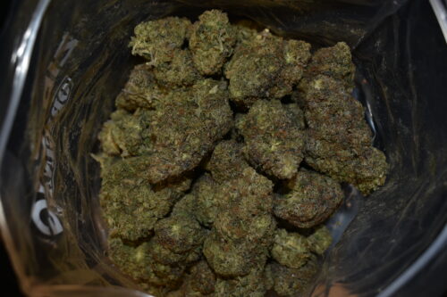Pink Rockstar strain, Pink Rockstar weed strain, Pink Rockstar marijuana strain, Pink Rockstar Buds