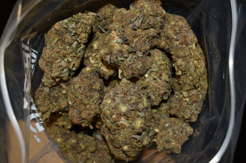 Purple Diamond strain, Purple Diamond weed strain, Purple Diamond marijuana strain, Purple Diamond Buds