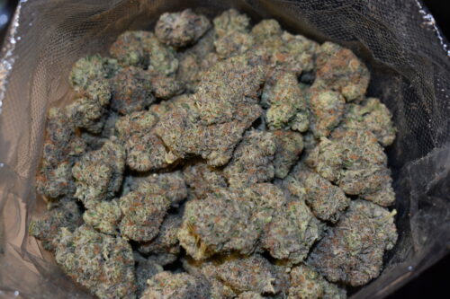 Purple Sour Diesel strain, Purple Sour Diesel weed strain, Purple Sour Diesel marijuana strain, Purple Sour Diesel Buds