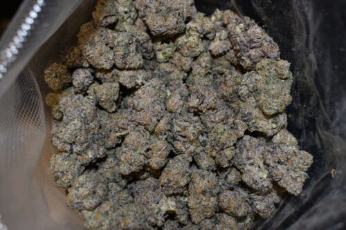 Pure Michigan strain, Pure Michigan weed strain, Pure Michigan marijuana strain, Pure Michigan Buds