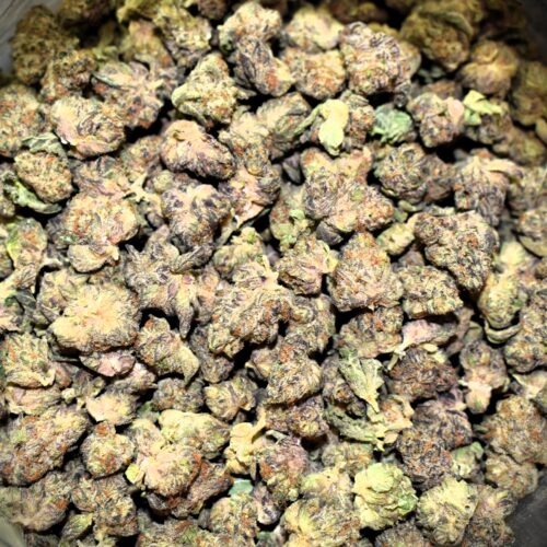 Purple Cotton Candy - Hybrid strain, Purple Cotton Candy - Hybrid weed strain, Purple Cotton Candy - Hybrid marijuana strain, Purple Cotton Candy - Hybrid Buds