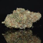 Fallen Angel strain, Fallen Angel weed strain, Fallen Angel marijuana strain, Fallen Angel Buds