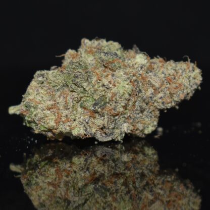 Fallen Angel strain, Fallen Angel weed strain, Fallen Angel marijuana strain, Fallen Angel Buds