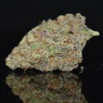 Fallen Angel strain, Fallen Angel weed strain, Fallen Angel marijuana strain, Fallen Angel Buds