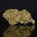 Lion's Mane strain, Lion's Mane weed strain, Lion's Mane marijuana strain, Lion's Mane Buds