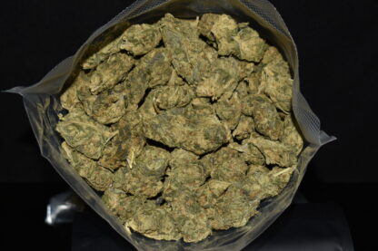 PU Tang strain, PU Tang weed strain, PU Tang marijuana strain, PU Tang Buds