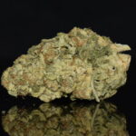 PU Tang strain, PU Tang weed strain, PU Tang marijuana strain, PU Tang Buds