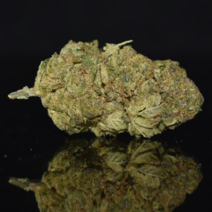 Platinum Cherry strain, Platinum Cherry weed strain, Platinum Cherry marijuana strain, Platinum Cherry Buds