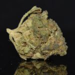 Platinum Cherry strain, Platinum Cherry weed strain, Platinum Cherry marijuana strain, Platinum Cherry Buds