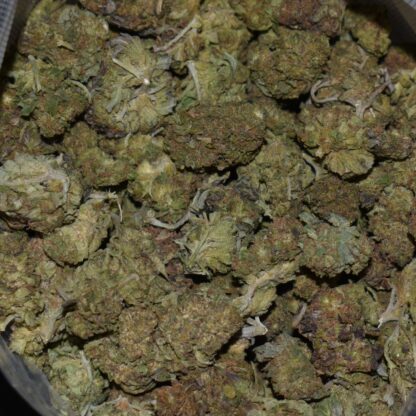 Platinum Cherry strain, Platinum Cherry weed strain, Platinum Cherry marijuana strain, Platinum Cherry Buds