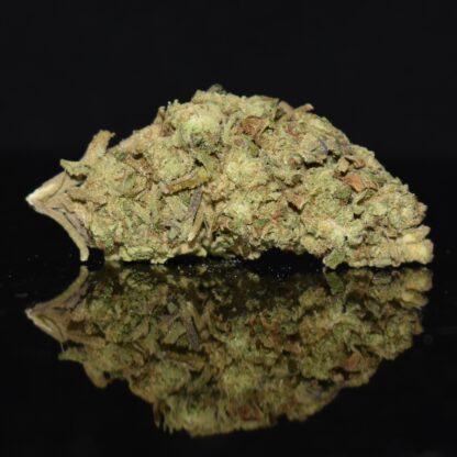 Berry Kush strain, Berry Kush weed strain, Berry Kush marijuana strain, Berry Kush Buds