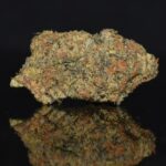 Black Truffle strain, Black Truffle weed strain, Black Truffle marijuana strain, Black Truffle Buds