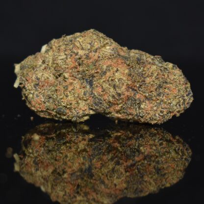 Black Truffle strain, Black Truffle weed strain, Black Truffle marijuana strain, Black Truffle Buds
