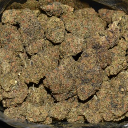 Black Truffle strain, Black Truffle weed strain, Black Truffle marijuana strain, Black Truffle Buds