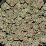 Cereal Milk strain, Cereal Milk weed strain, Cereal Milk marijuana strain, Cereal Milk Buds