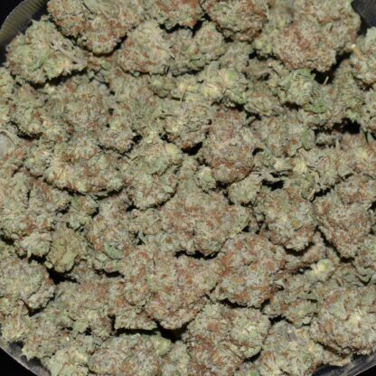 Cereal Milk strain, Cereal Milk weed strain, Cereal Milk marijuana strain, Cereal Milk Buds
