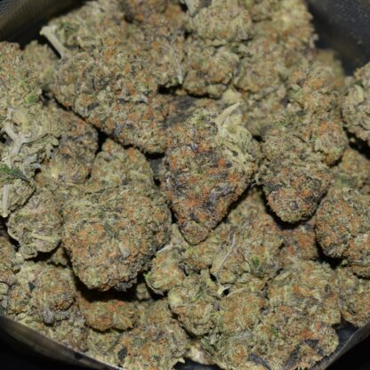 Pink Mintz strain, Pink Mintz weed strain, Pink Mintz marijuana strain, Pink Mintz Buds