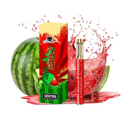 Watermelon Disposable Pen 2g