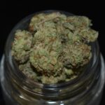 Jet Fuel (Popcorn) strain, Jet Fuel (Popcorn) weed strain, Jet Fuel (Popcorn) marijuana strain, Jet Fuel (Popcorn) Buds