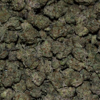 Jet Fuel (Popcorn) strain, Jet Fuel (Popcorn) weed strain, Jet Fuel (Popcorn) marijuana strain, Jet Fuel (Popcorn) Buds