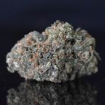 Runtzbert strain, Runtzbert weed strain, Runtzbert marijuana strain, Runtzbert Buds