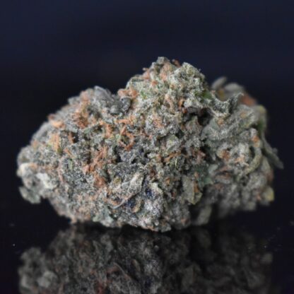 Runtzbert strain, Runtzbert weed strain, Runtzbert marijuana strain, Runtzbert Buds