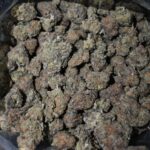 Runtzbert strain, Runtzbert weed strain, Runtzbert marijuana strain, Runtzbert Buds