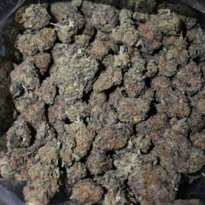 Runtzbert strain, Runtzbert weed strain, Runtzbert marijuana strain, Runtzbert Buds