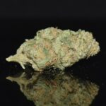 Northern Lights strain, Northern Lights weed strain, Northern Lights marijuana strain, Northern Lights Buds