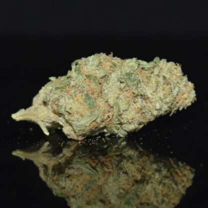 Northern Lights strain, Northern Lights weed strain, Northern Lights marijuana strain, Northern Lights Buds