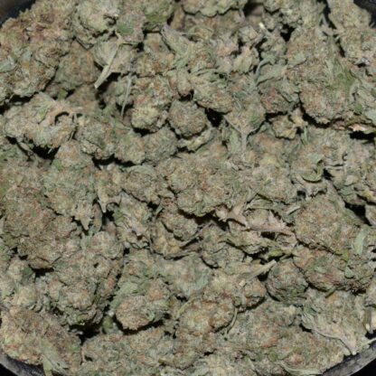 Northern Lights strain, Northern Lights weed strain, Northern Lights marijuana strain, Northern Lights Buds