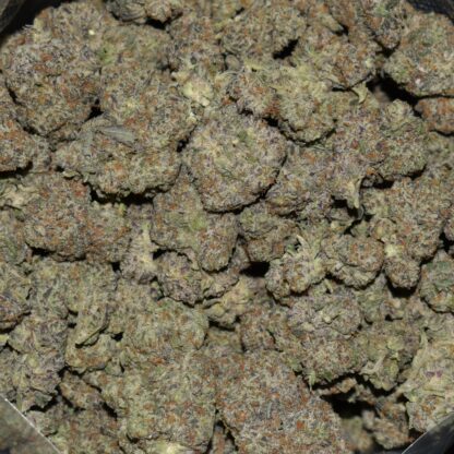 Black Oreoz strain, Black Oreoz weed strain, Black Oreoz marijuana strain, Black Oreoz Buds