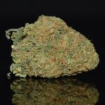 Jack Herer strain, Jack Herer weed strain, Jack Herer marijuana strain, Jack Herer Buds