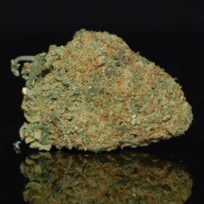 Jack Herer strain, Jack Herer weed strain, Jack Herer marijuana strain, Jack Herer Buds