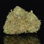 Jack Herer strain, Jack Herer weed strain, Jack Herer marijuana strain, Jack Herer Buds