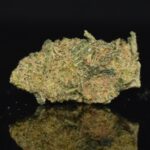 Magic Jordan strain, Magic Jordan weed strain, Magic Jordan marijuana strain, Magic Jordan Buds