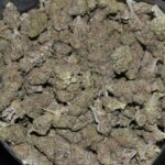 Magic Jordan strain, Magic Jordan weed strain, Magic Jordan marijuana strain, Magic Jordan Buds