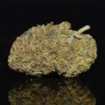 Purple Rum strain, Purple Rum weed strain, Purple Rum marijuana strain, Purple Rum Buds