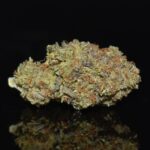 Purple Rum strain, Purple Rum weed strain, Purple Rum marijuana strain, Purple Rum Buds