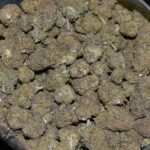 Purple Rum strain, Purple Rum weed strain, Purple Rum marijuana strain, Purple Rum Buds