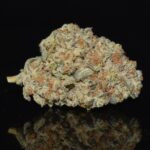 Sherbet Cookies strain, Sherbet Cookies weed strain, Sherbet Cookies marijuana strain, Sherbet Cookies Buds