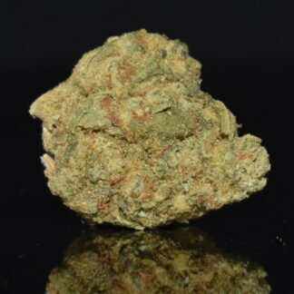 Sour Fuel strain, Sour Fuel weed strain, Sour Fuel marijuana strain, Sour Fuel Buds