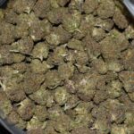 Purple Moon Cake (Popcorn) strain, Purple Moon Cake (Popcorn) weed strain, Purple Moon Cake (Popcorn) marijuana strain, Purple Moon Cake (Popcorn) Buds