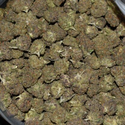 Purple Moon Cake (Popcorn) strain, Purple Moon Cake (Popcorn) weed strain, Purple Moon Cake (Popcorn) marijuana strain, Purple Moon Cake (Popcorn) Buds